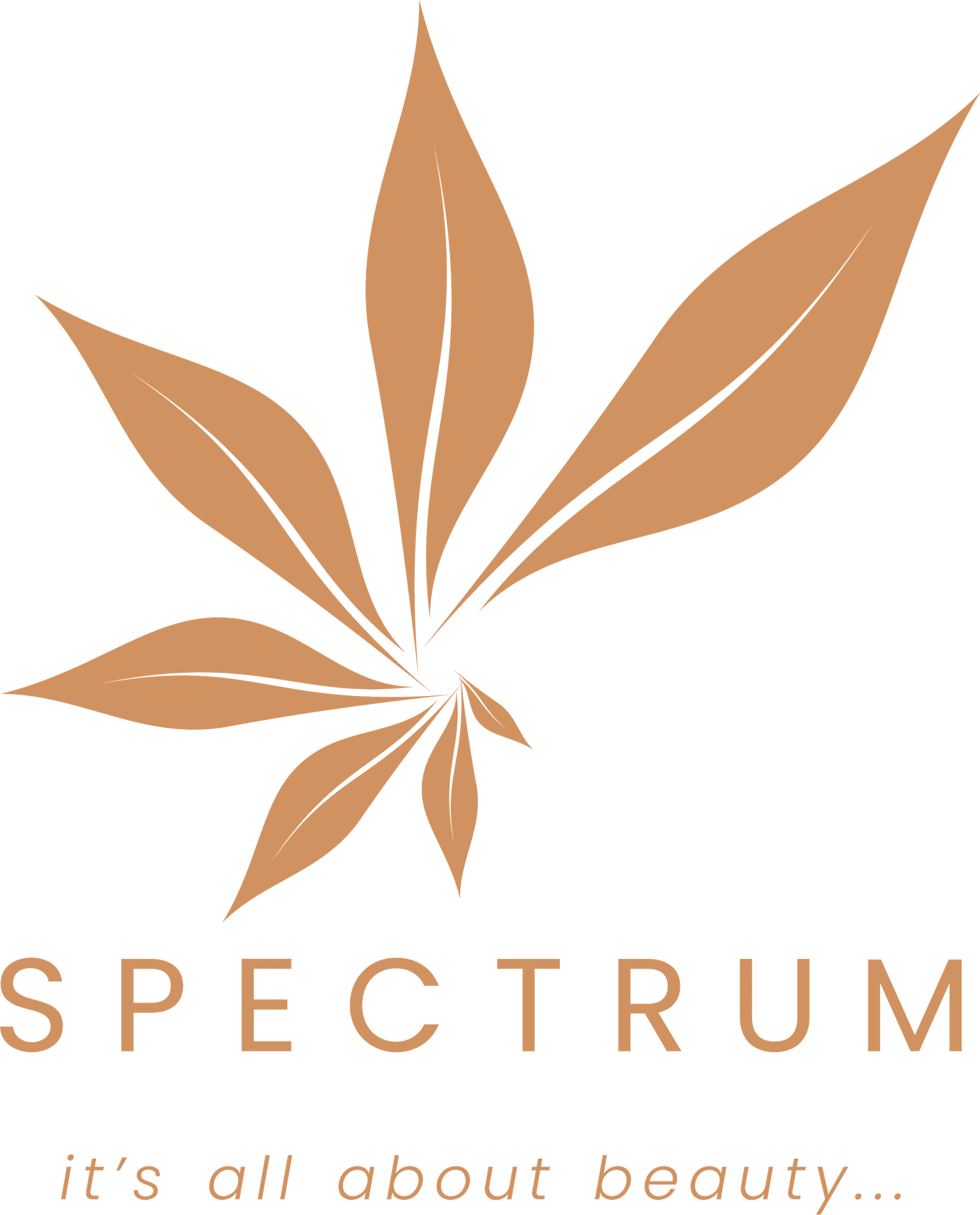 Amit Dandekar