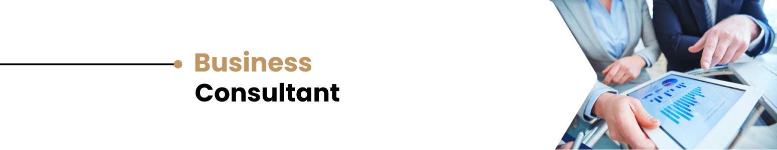 Business Consultant